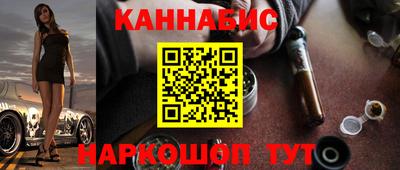 крисы Будённовск