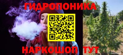 крисы Будённовск