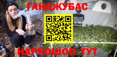 крисы Будённовск