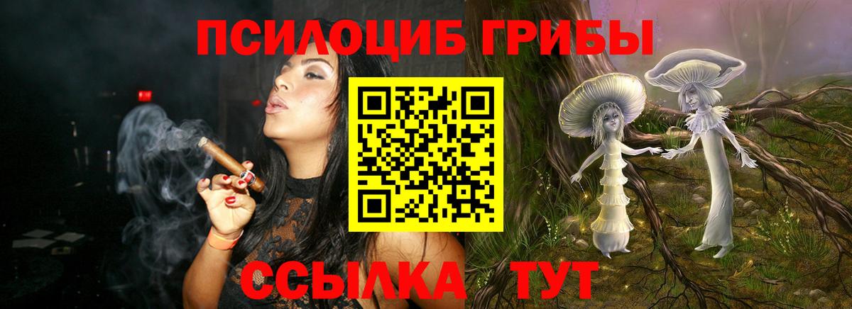 Псилоцибиновые грибы мицелий Кузнецк